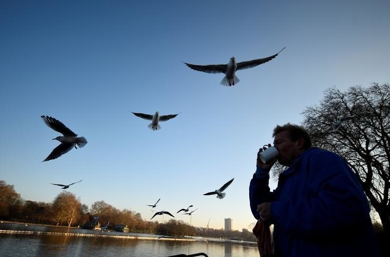Seagulls fly over a man having a hot drink next to the Serpentine in Hyde Park, in London, Britain, December 12, 2017. REUTERS/Clodagh Kilcoyne - RC1F0FF9DC30