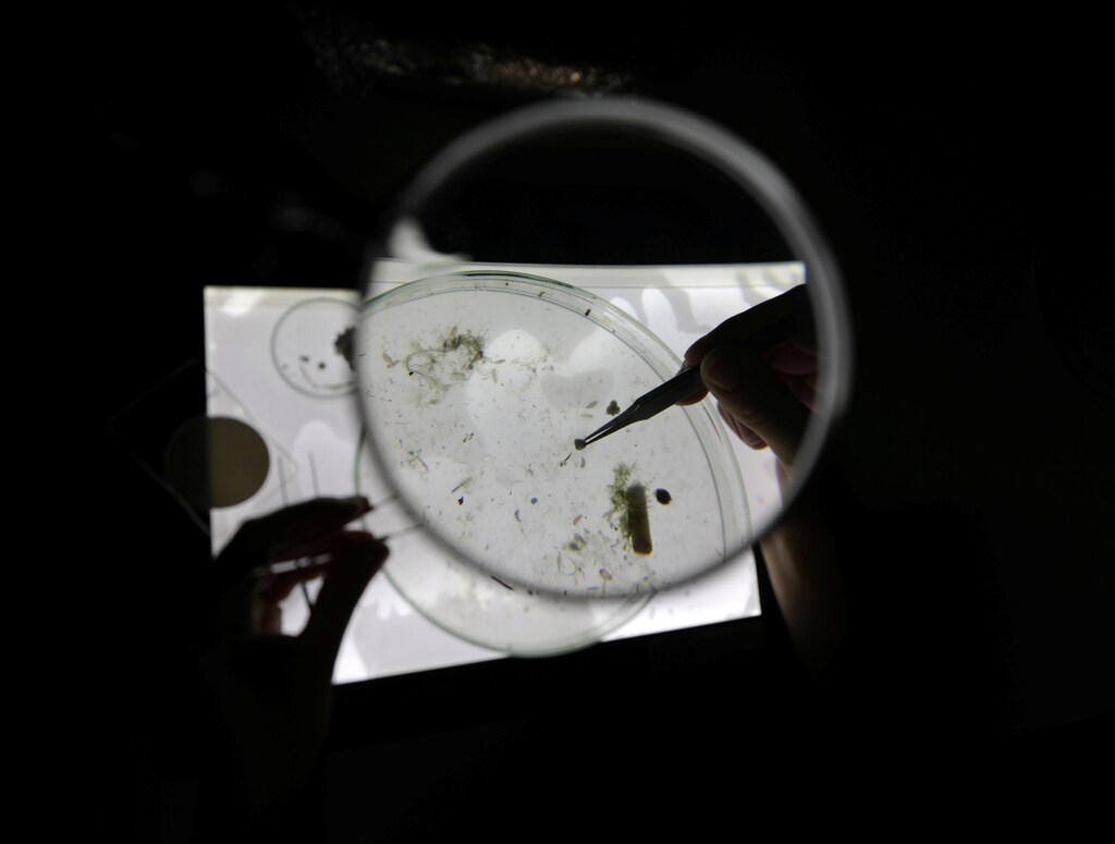 A close-up on a magnifying glass showing tweezers picking out microplastics in a sea sample.