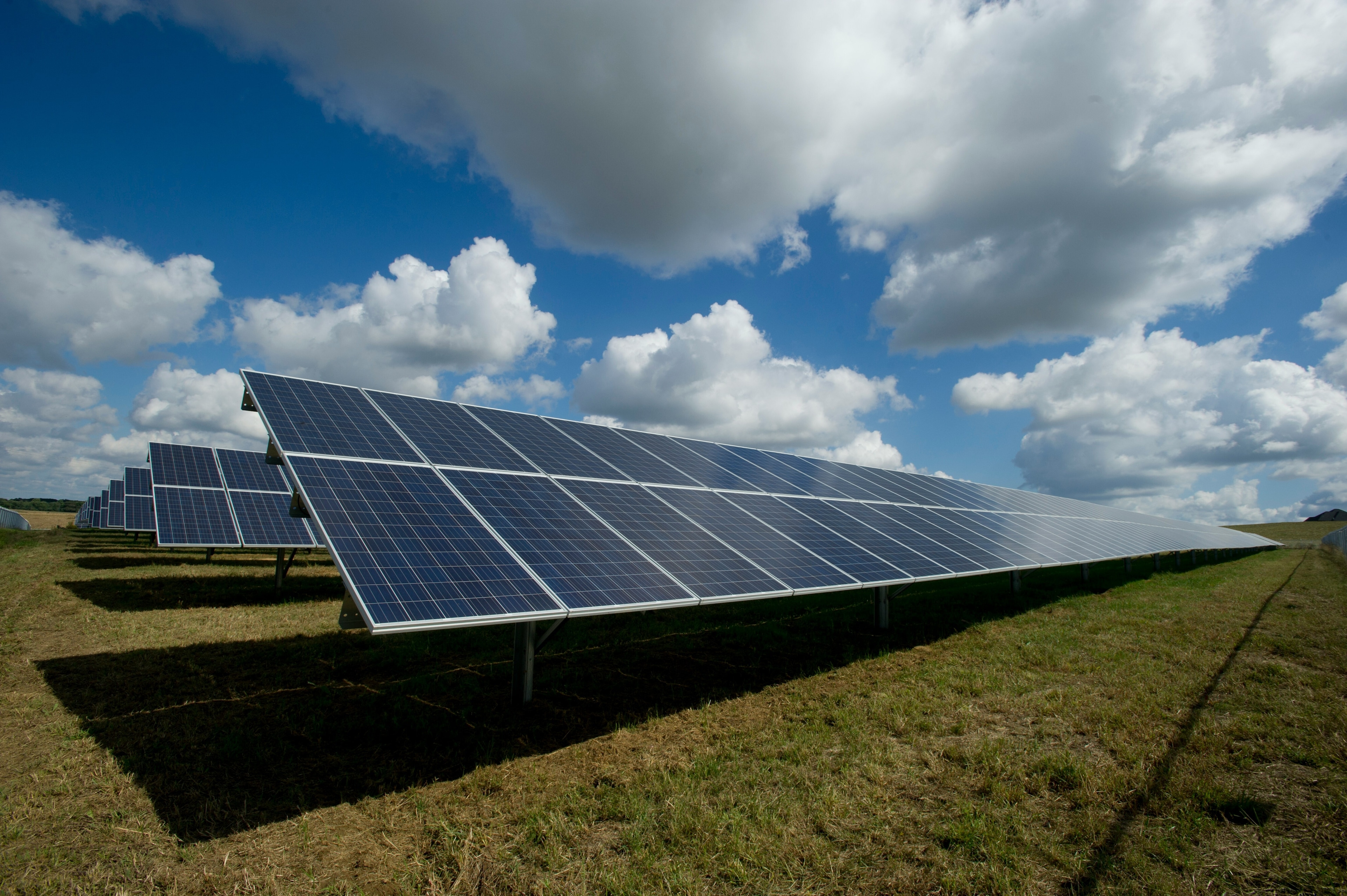 Solar panels in a field.