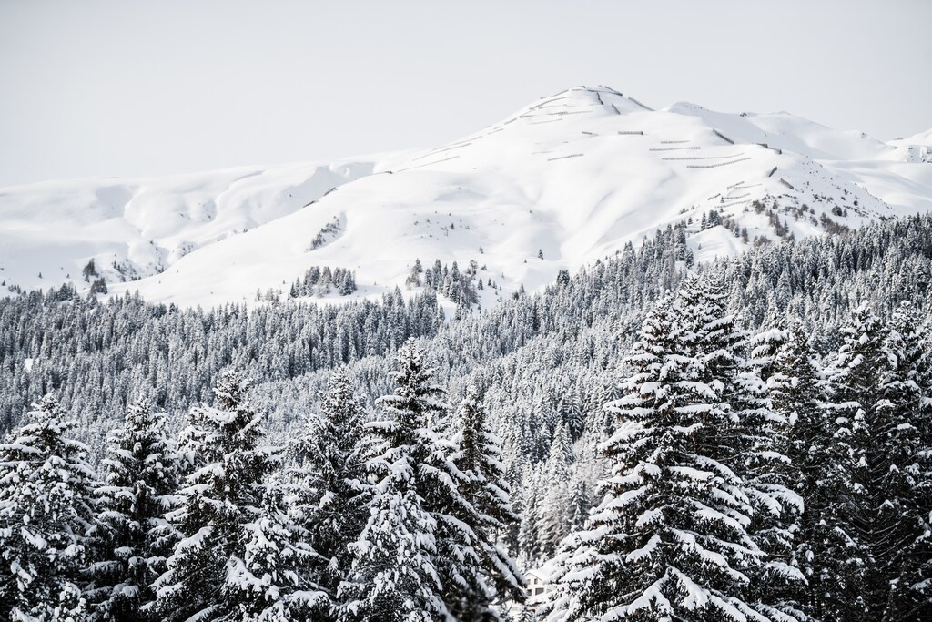 Impressions at the Annual Meeting 2018 of the World Economic Forum in Davos, January 20, 2018.Copyright by World Economic Forum / Mattias Nutt