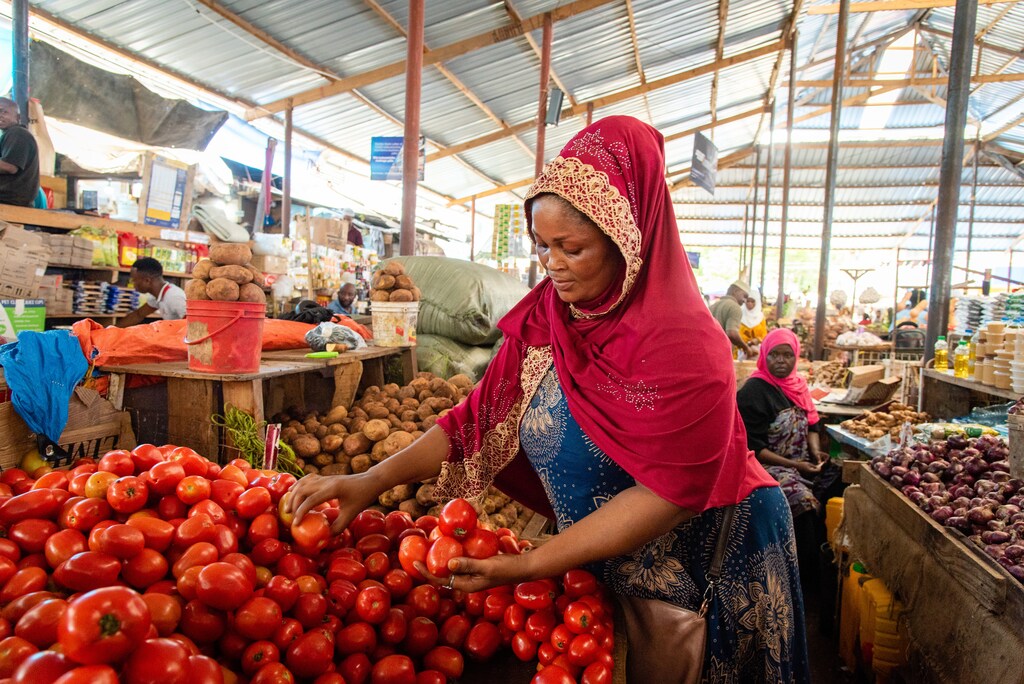 A lady picking tomatoes in a market stall. Women play a key role across the global food systems, from agriculture right to the top of the global policymaking environment.