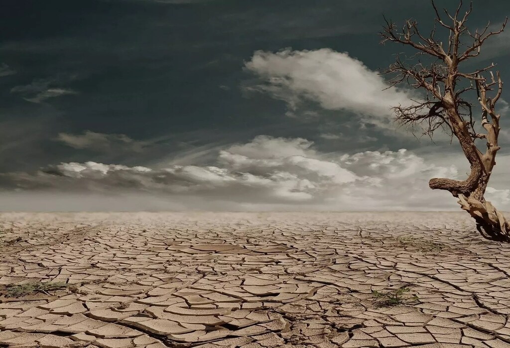 ¿A qué cuestiones climáticas hay que dar prioridad para crear un impacto real?