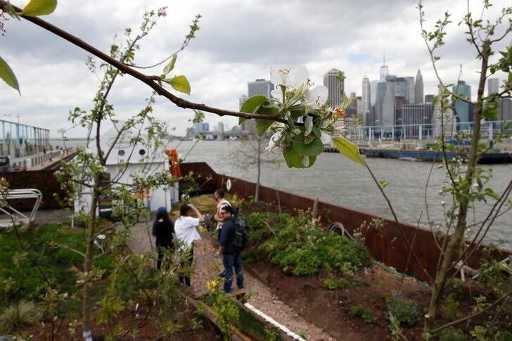 People stand on a floating barge, which is planted with fruit trees, as part of the Swale project called a collaborative floating forest, in the East River in the Brooklyn borough of New York, U.S. May 2, 2017. REUTERS/Carlo Allegri