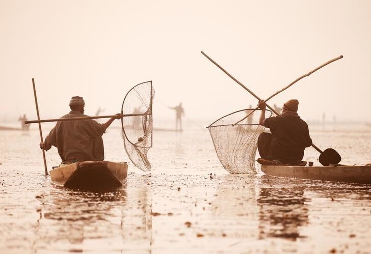 Kashmiri fishermen use their nets to catch fish in the waters of the Anchar Lake on a cold day in Srinagar, December 20, 2016. REUTERS/Danish Ismail