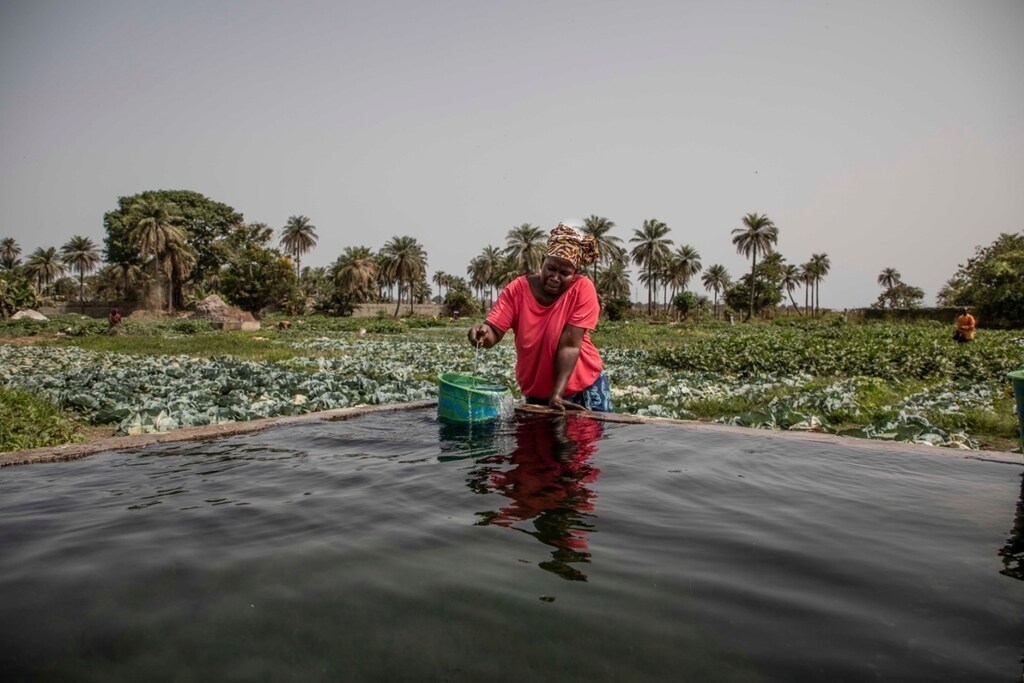 African countries face a disproportionate impact from climate change – despite producing minimal greenhouse gas emissions.