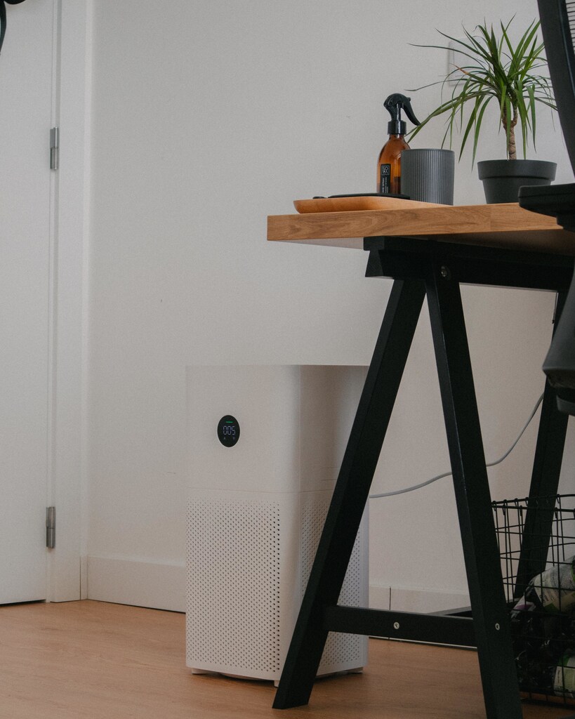 Investing in an air purifier is another way to boost indoor air quality, as this can help reduce potential contaminants and irritants.