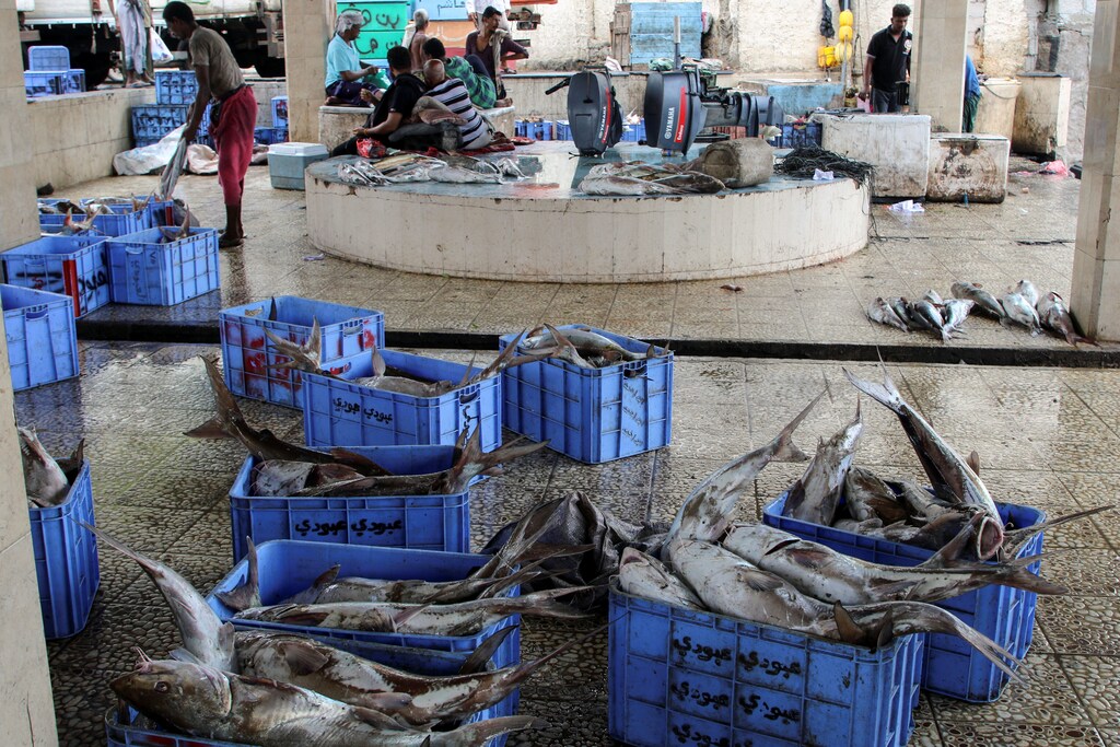 Boxes of fish are pictured at a fish market.