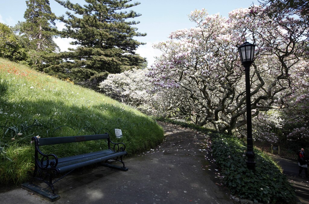 A general view of Wellington Botanical Garden October 1, 2011. REUTERS/Jacky Naegelen (NEW ZEALAND - Tags: CITYSCAPE ENVIRONMENT TRAVEL) - SR1E7A31ODUEM