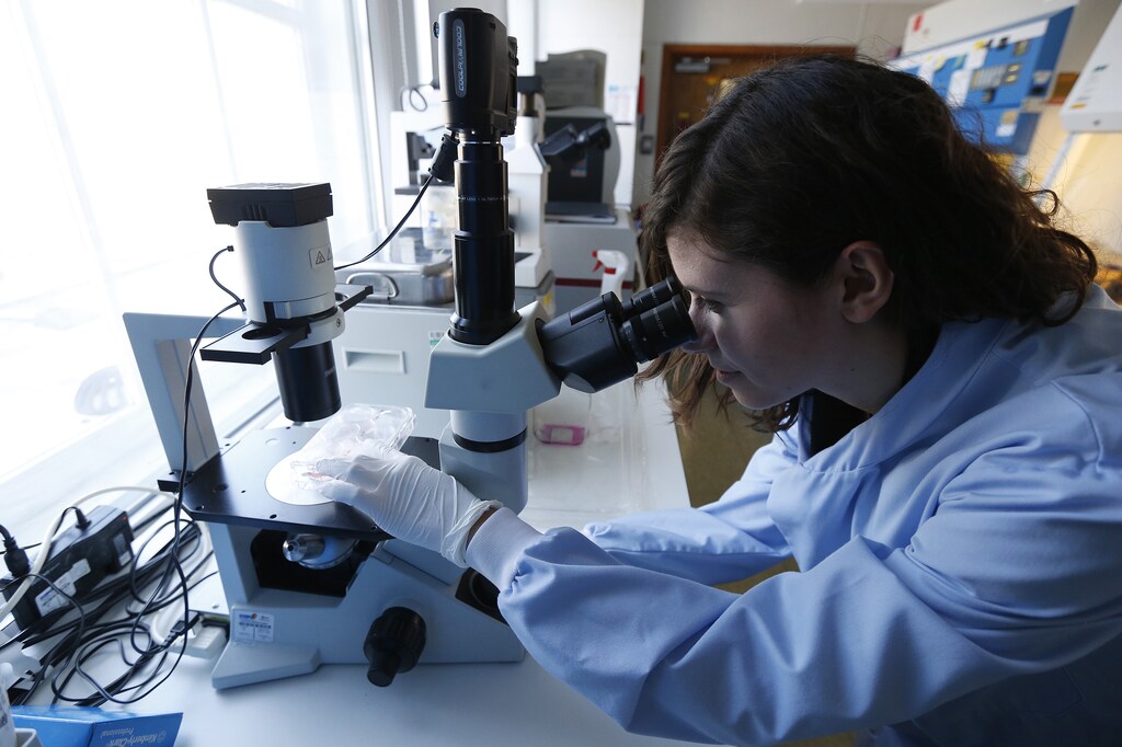 Graduate student Giulia Agliardi studies cancer cells in the Nanomedicine Lab at UCL's School of Pharmacy in London, 2013.