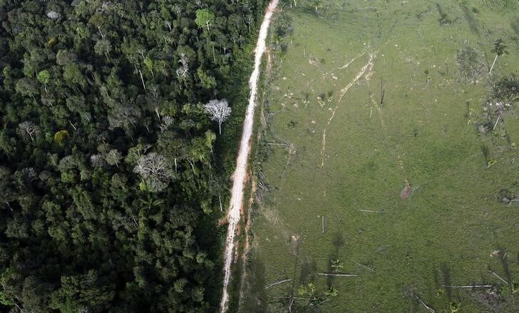 An aerial view shows illegal deforestation close to the Amazonia National Park in Itaituba, state of Para May 25, 2012. In the 19 months since Brazil's President Dilma Rousseff took office, longstanding rules that curtail deforestation and protect millions of square kilometers of watershed have been rolled back. She issued an executive order to shrink or repurpose seven protected woodlands, making way for hydroelectric dams and other infrastructure projects, and to legalize settlements by farmers and miners. Picture taken May 25, 2012. To match Special Report BRAZIL-ENVIRONMENT/BACKSLIDE REUTERS/Nacho Doce (BRAZIL - Tags: POLITICS ENVIRONMENT BUSINESS TPX IMAGES OF THE DAY)