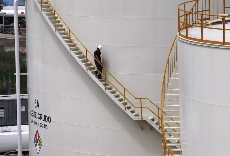 A worker goes down by a Patagonia Bioenergia biodiesel plant in San Lorenzo February 26, 2010. Argentina is set to implement a law requiring diesel to be blended with biodiesel in the coming weeks, but the nation's key exports of the green fuel could still rise as production soars. Argentina, a leading exporter of biodiesel and the No. 1 soyoil supplier, was due to introduce the law on Jan. 1, but it was delayed until the government agreed to allocate supply quotas to the country's top producers, industry sources say. Picture taken February 26, 2010. To match analysis ARGENTINA-BIODIESEL/ REUTERS/Enrique Marcarian (ARGENTINA - Tags: POLITICS ENERGY ENVIRONMENT) - GM1E63N012001