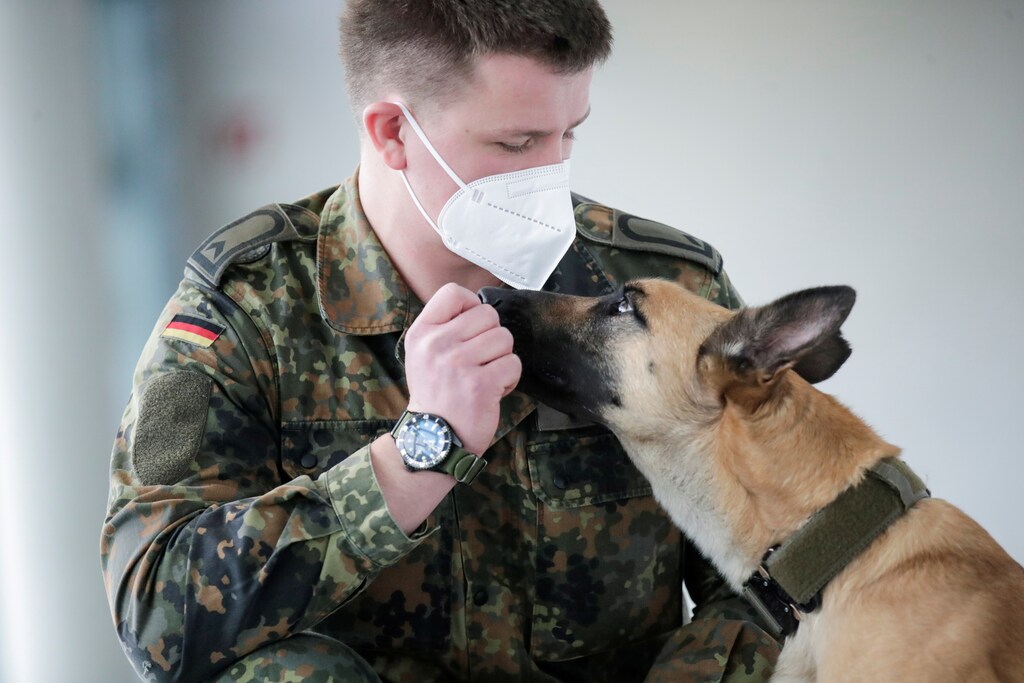 A member of a military poses with Filou, the 3-year-old Belgian shepherd which is able to detect COVID-19 in humans' saliva samples, in Hanover, Germany.