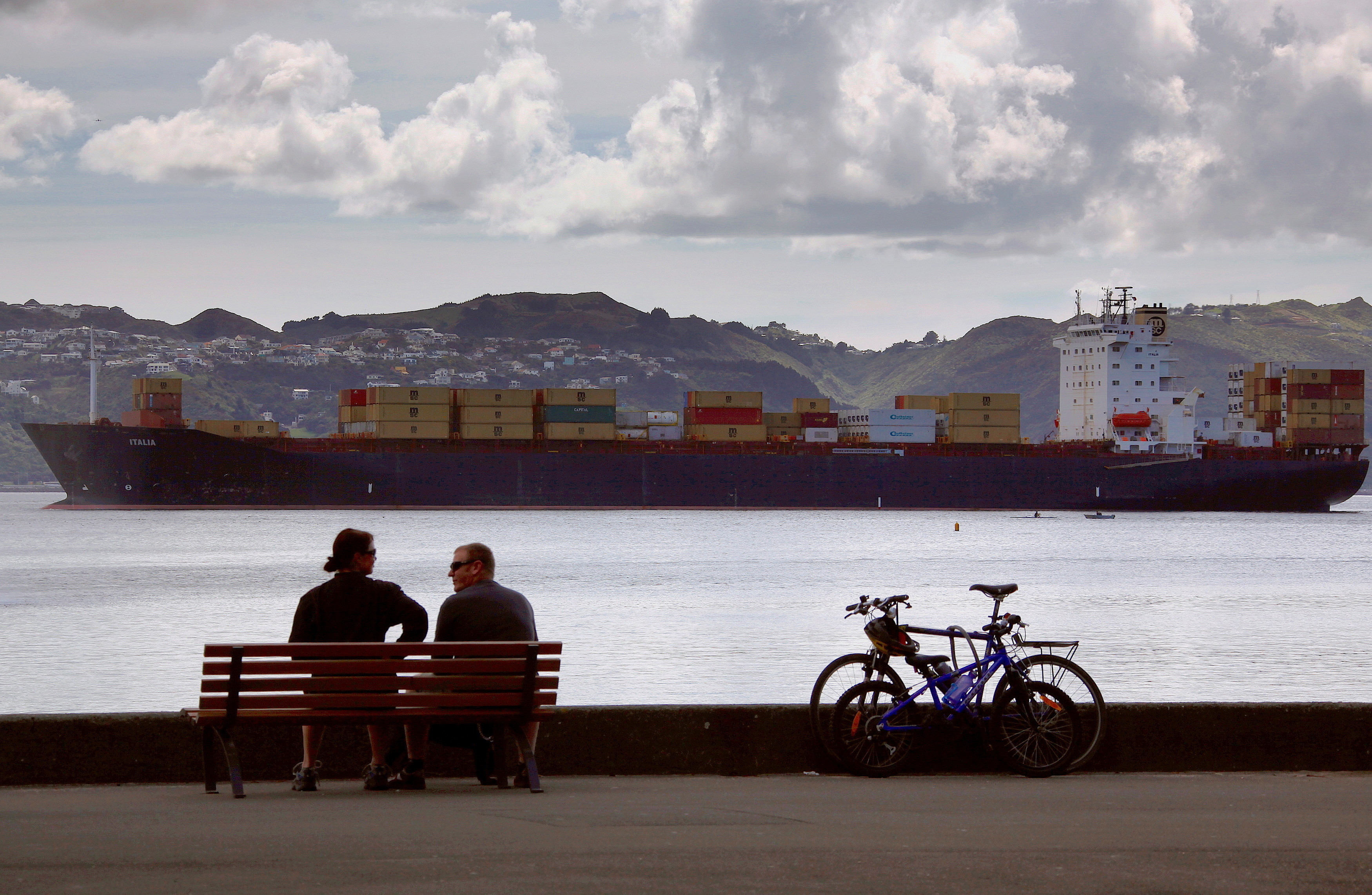 supply chains - man and a woman sit on a seat next to their bicycles as a container ship sails into Oriental Bay in the New Zealand capital city of Wellington September 17, 2011.