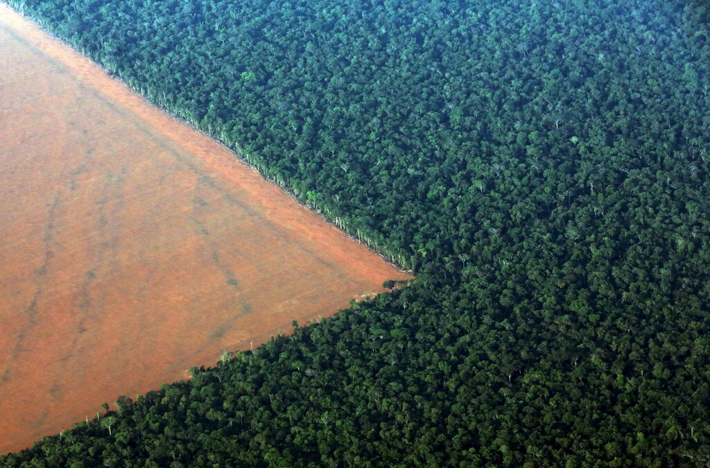 The Amazon rain forest (R), bordered by deforested land prepared for the planting of soybeans, is pictured in this aerial photo taken over Mato Grosso state in western Brazil, October 4, 2015. Brazil will produce a record 97.8 million tonnes of soybeans in 2015/16, a 3.2 percent rise compared to 2014/15, but much of this additional volume will be stored in the country, with little impact on export volumes, estimated on Monday the Brazilian Association of Vegetable Oil Industries