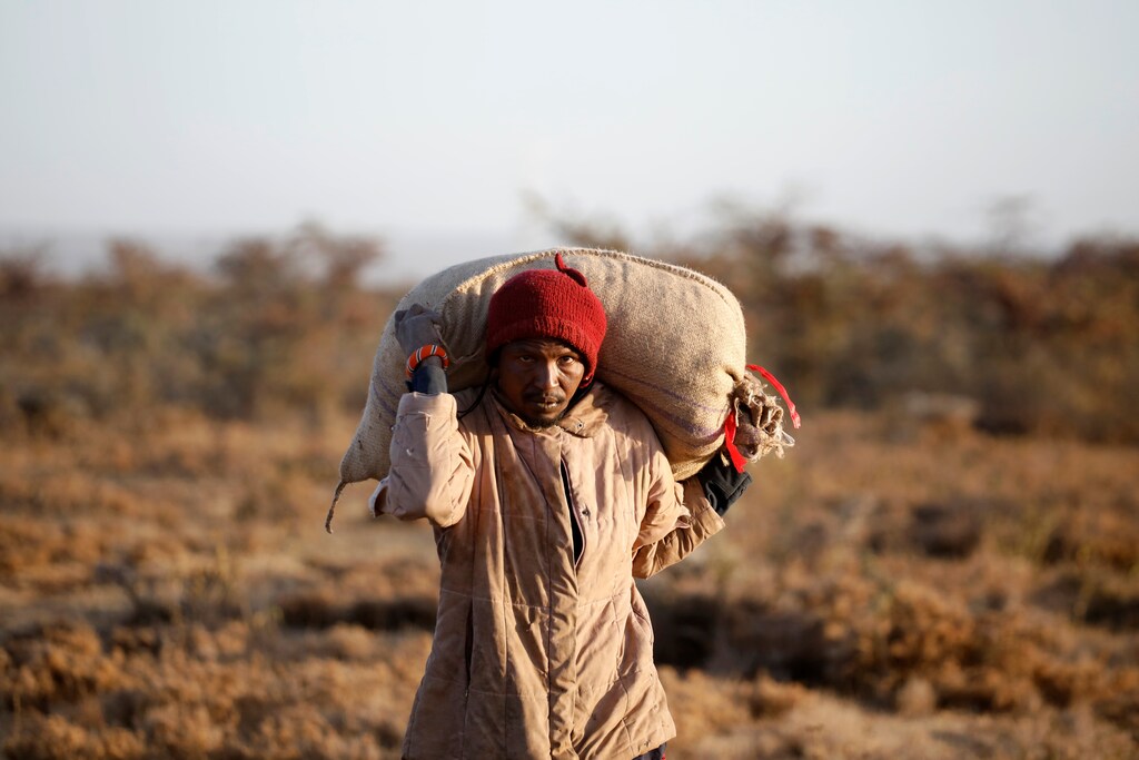 A man carries a sack of grain on his shoulders