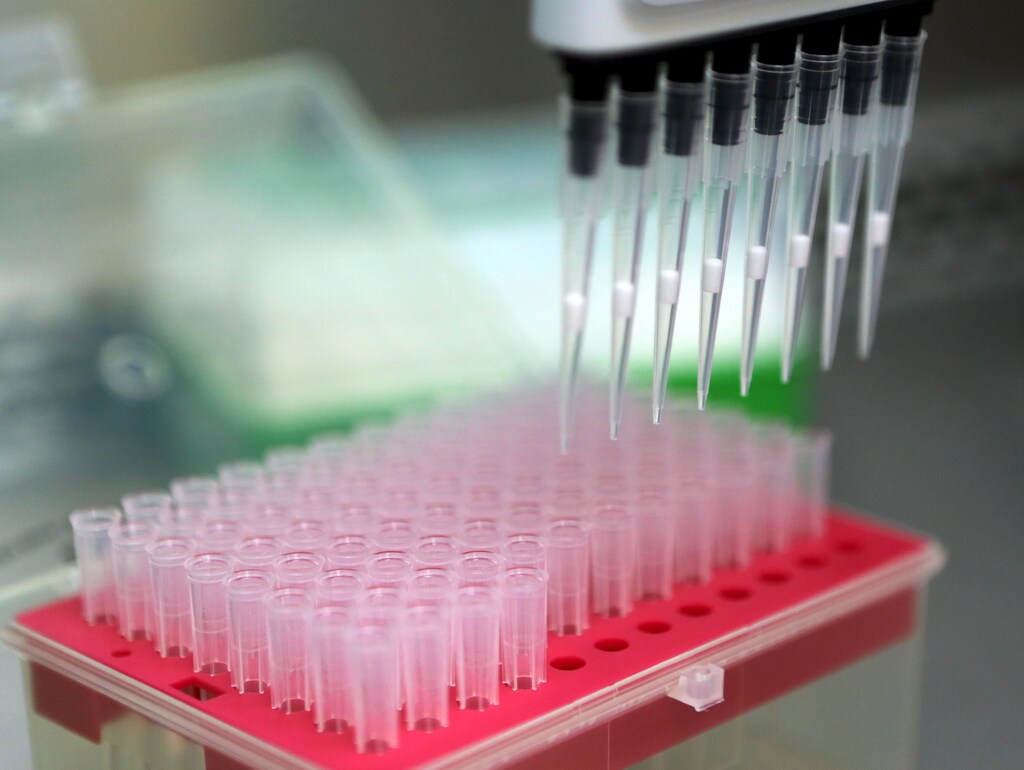 A biologist works in the laboratory of Biology from University of Campinas (UNICAMP), in Campinas, Brazil, February 11, 2016.