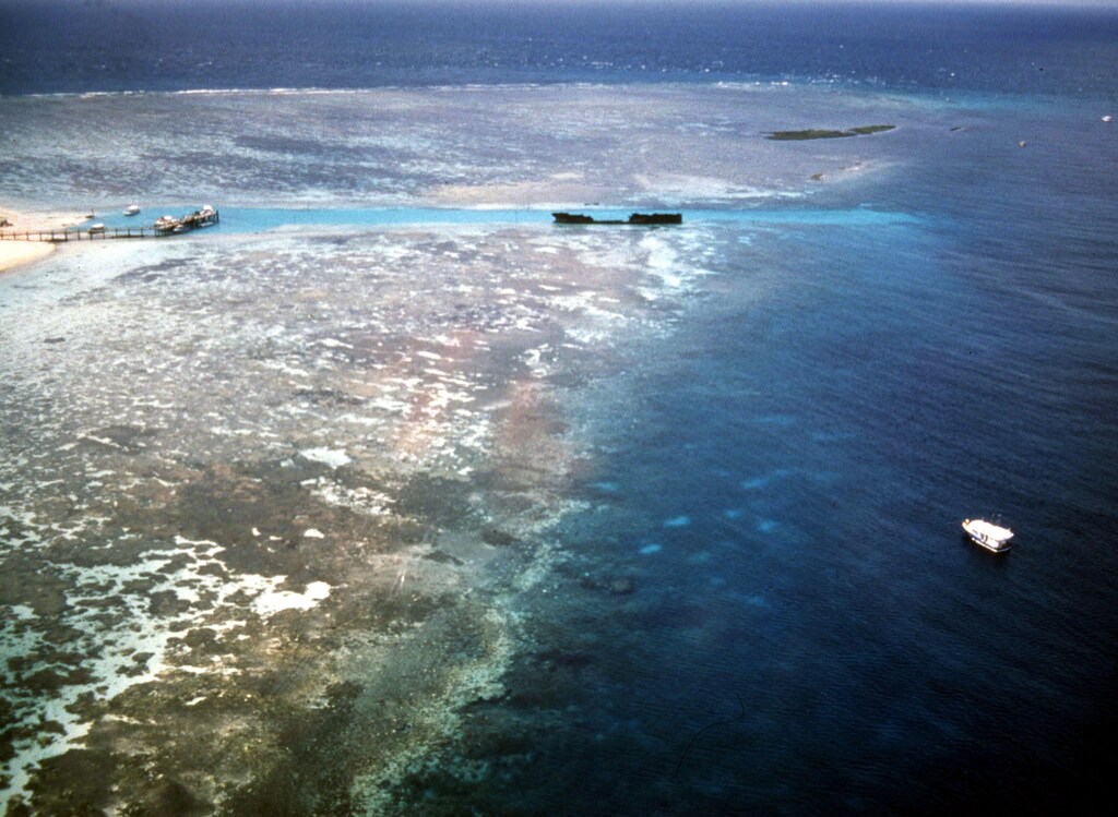 An aerial view of Australia's Great Barrier Reef which maybe effected by global warming that will devastate the world's coral reefs in the new millennium and could eliminate them from most areas of the planet by 2100. A report by Coral Reef Research Institute director [Ove Hoegh-Guldberg] of Sydney University, said coral bleaching around the world would increase in frequency and seriousness untill it occurred annually by 2030 unless global warming was reversed.