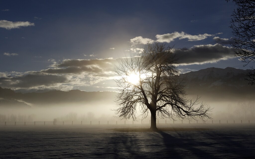 The sun comes up through the fog in the early morning hours over Garmisch-Partenkirchen, southern Germany January 14, 2011.