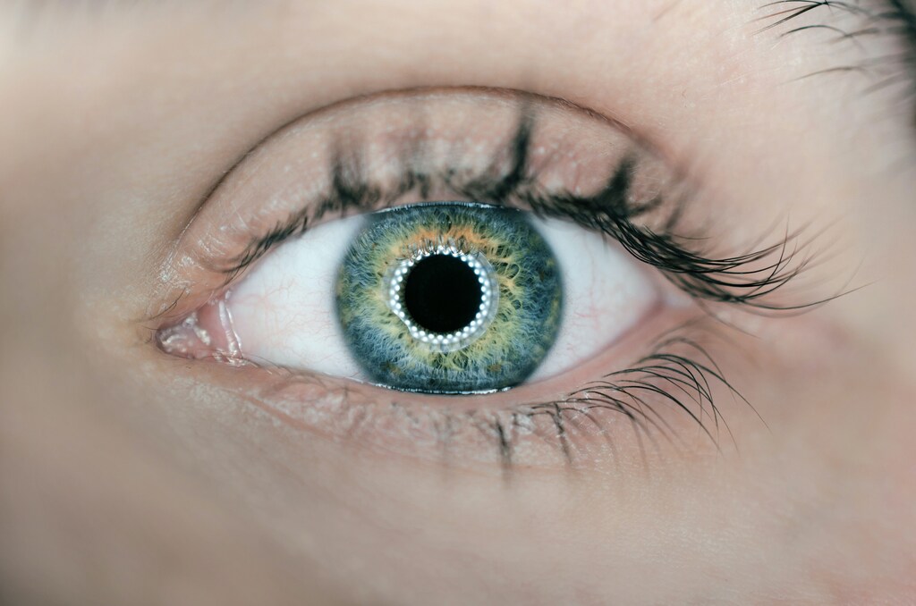 An iris being scanned by biometric technology.