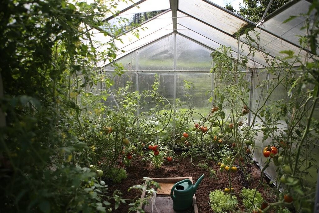 Food security community mental health sustainability health supply