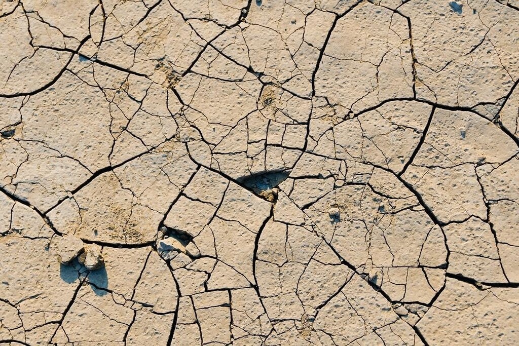 Global drought patterns.