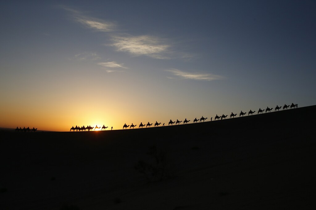 Visitors ride camels as sun rises in Dunhuang, Gansu province, July 11, 2013. Picture taken July 11, 2013. REUTERS/Rooney Chen (CHINA - Tags: TRAVEL ENVIRONMENT) - GM1E97C1SVR01