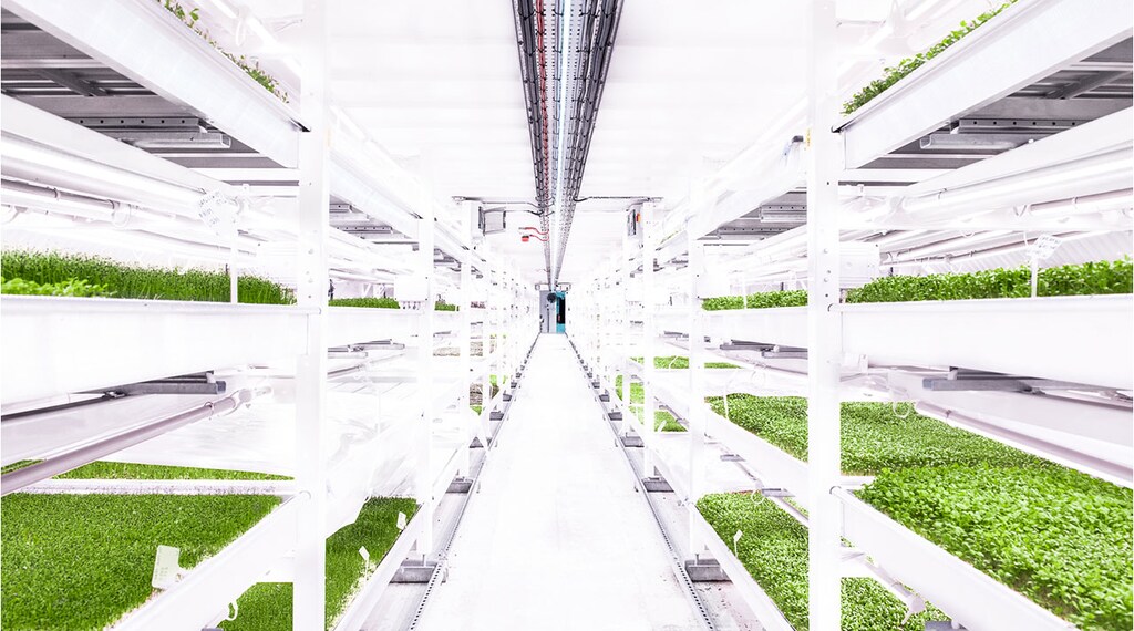 Vertical farming sustainability underground