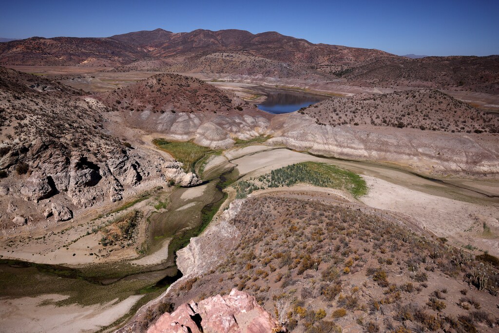 Currently, around 2 billion people live in drylands, which are most prone to desertification, according to Earth.org.