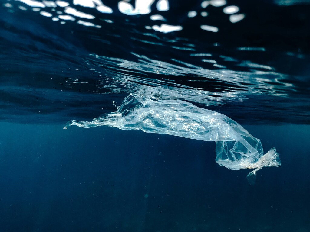 Side view of plastic floating in water in a blog about how a small fee for plastic bags is helping restore nature