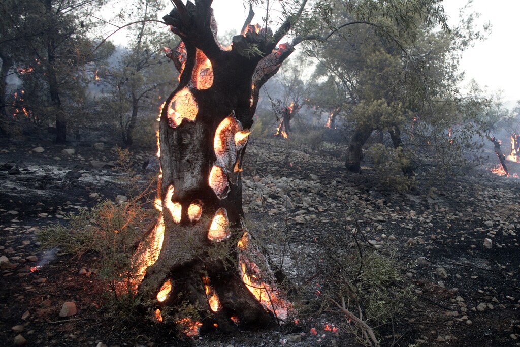 Nature-related financial risks can be grouped into physical, transition and systemic risks.
