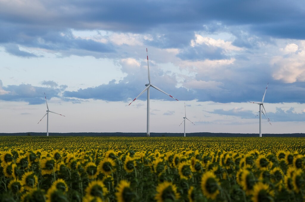 Wind turbines are seen in sunflower field during sunset outside Ulyanovsk, Russia July 20, 2020. Picture taken July 20, 2020. REUTERS/Maxim Shemetov - RC2V3I92NNLO