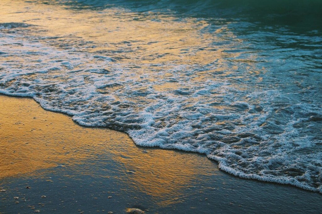 Oceans, climate change, environment.