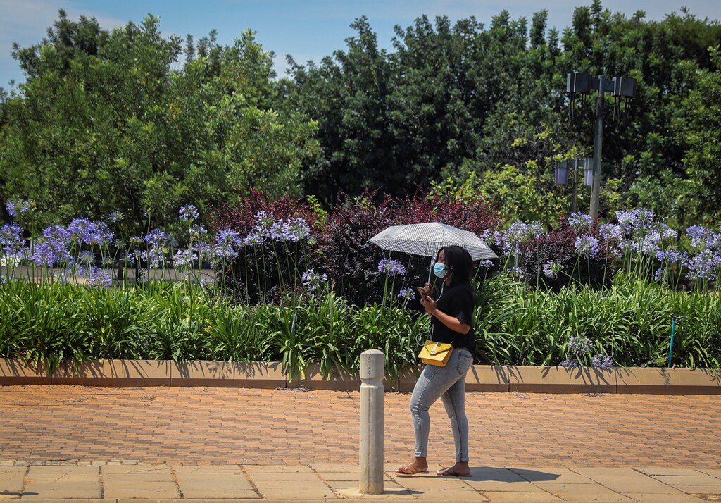 Nontuthuzelo Nikiwe hosts SHAPE Africa — an event supported by the Global Shapers Community—that brings together young leaders to explore the intersection of technology and climate change.