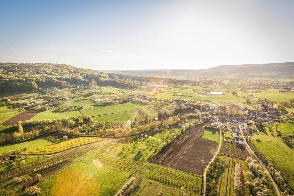 European temperatures have been breaking records in January 2023.