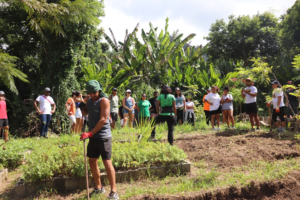 This Global Shaper -- in the forefront of the image -- is working to help feed the people of Rio de Janeiro sustainable and healthy food — a local climate solution that builds upon the city's culture.