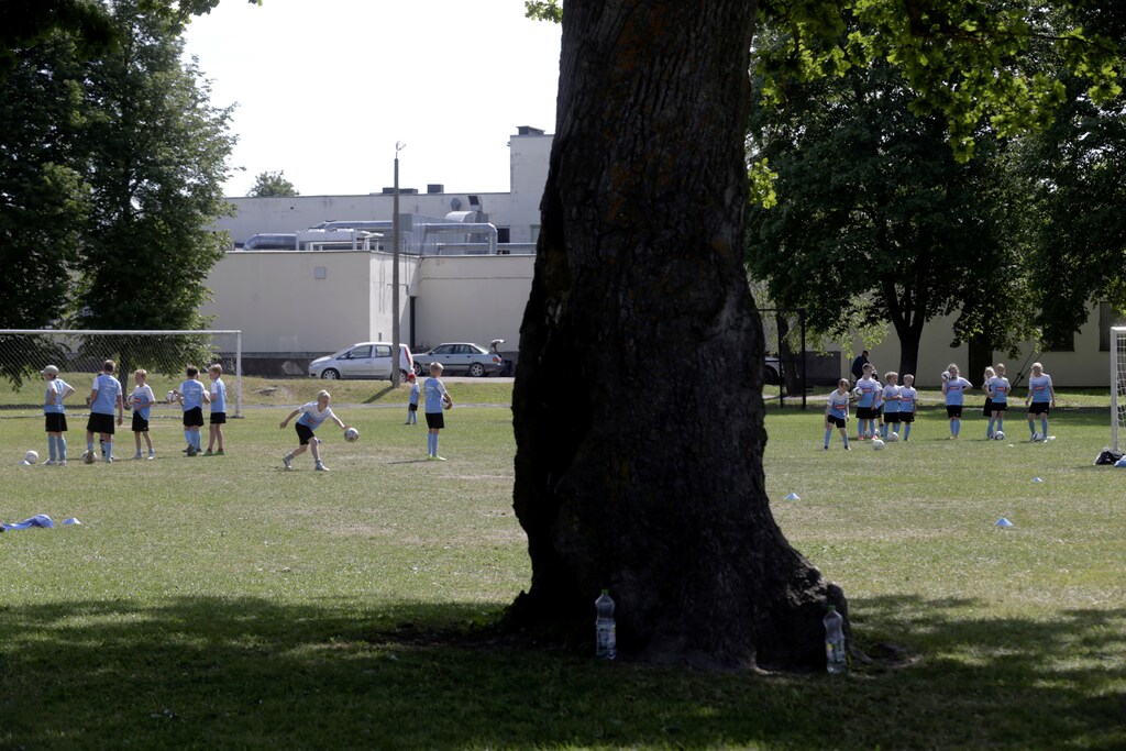 Children attend a training session in a soccer pitch, which has an oak tree right in the middle, in Orissaare, Estonia, June 15, 2016. REUTERS/Ints Kalnins - S1AETKFQLBAA