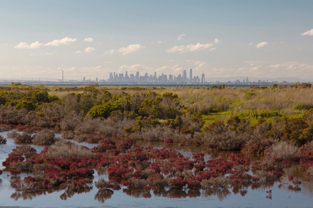 Un mandato claro de los líderes de la ciudad para dar prioridad a la sostenibilidad es fundamental para lograr una agenda positiva para la naturaleza.
