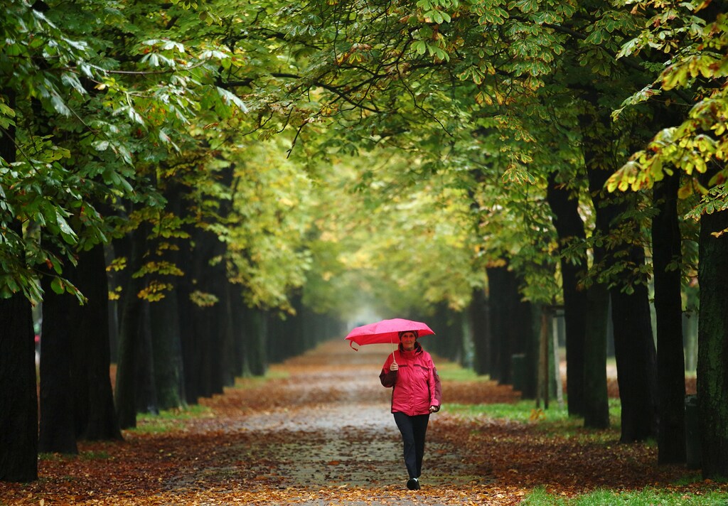 A woman enjoys a walk along an avenue of trees at Prater recreation area on a rainy autumn day in Vienna, Austria, October 16, 2015. REUTERS/Heinz-Peter Bader - GF10000247196