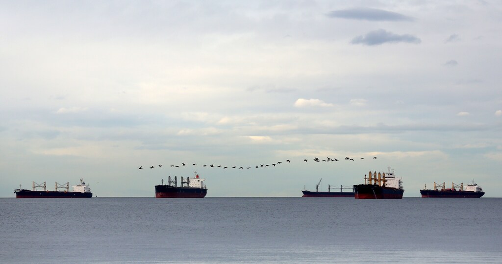 A flock of birds flies over cargo ships at anchor in English Bay, outside the Port of Vancouver, British Columbia, Canada November 19, 2016. REUTERS/Chris Helgren - TM3ECBS0WRE01