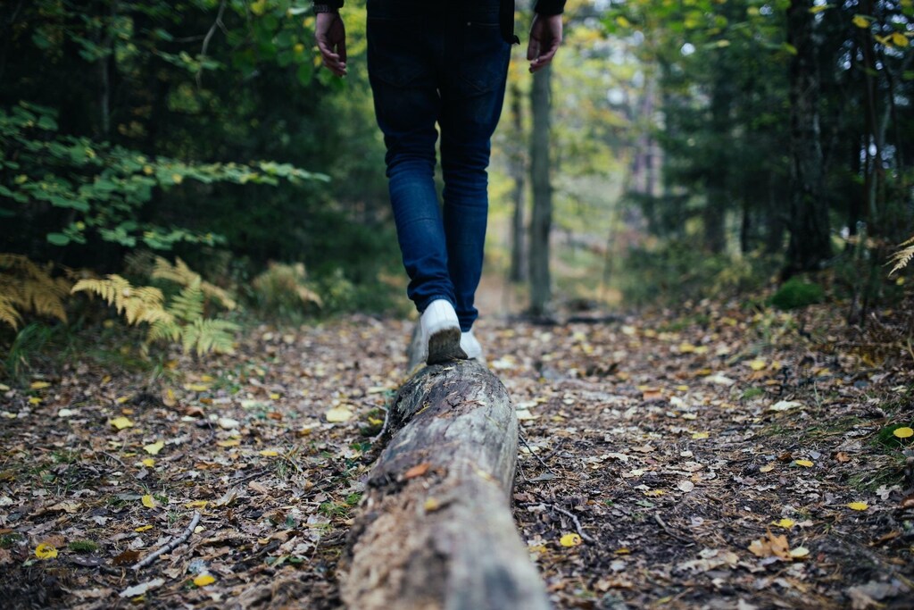 An increasing global population requires increasing quantities of sustainable forest products, be it wood for buildings or furniture, or pulp and paper products for packaging or personal hygiene.