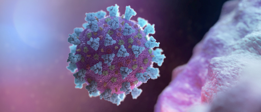 A computer image showing a model of the coronavirus that causes COVID-19.