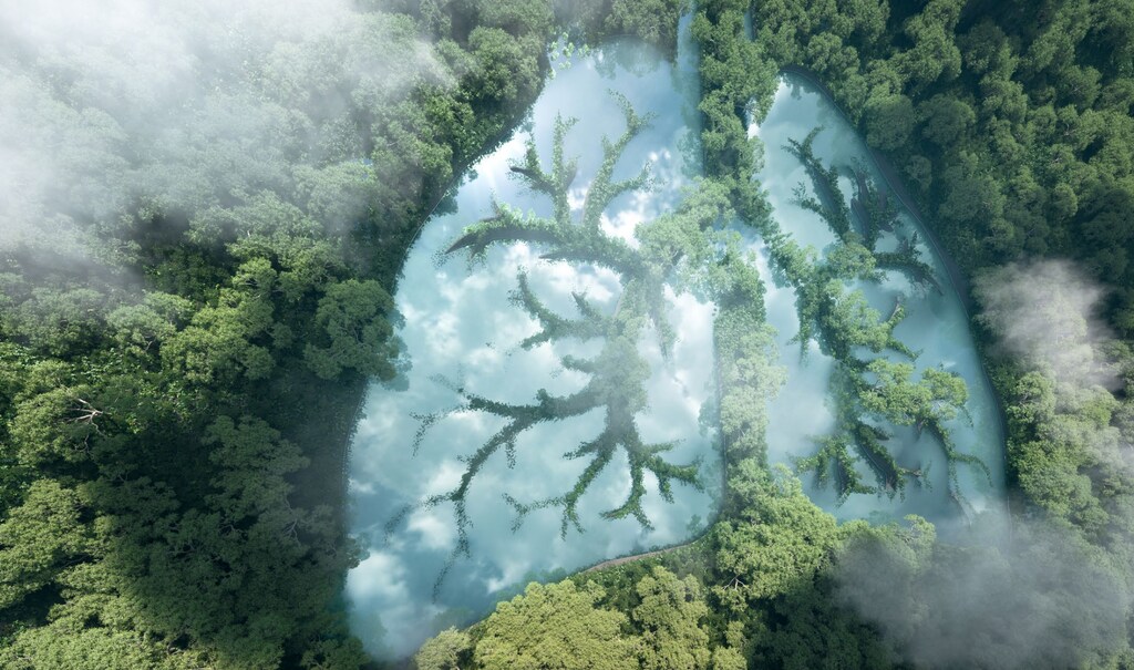 To succeed net zero by 2050, the planet must act as a single body.