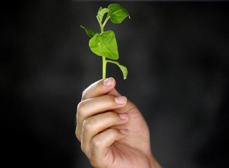 A worker holds some New Zealand spinach after he picked it from a greenhouse at an organic farm located on the outskirts of Beijing June 20, 2008. The farm, one of around 500 organic farms in China, grows fruit and vegetables for mainly foreign markets such as Japan, Malaysia and the United Kingdom. However during the Olympic Games in August, they will be supplying produce to official caterers. REUTERS/David Gray (CHINA)