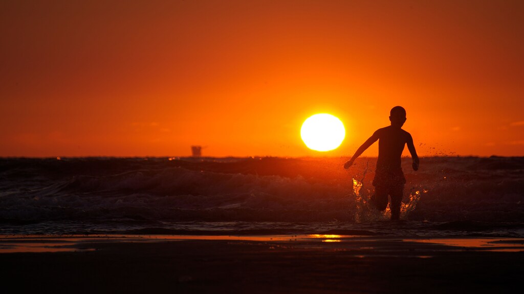 Heatwaves in Europe in 2003 and in western Russia in 2010 killed around 70,000 and 55,000 people respectively