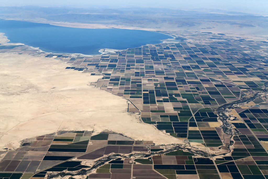 Agricultural farm land is shown near the Salton Sea and the town of Calipatria in California May 31, 2015. California is enduring its worst drought on record. REUTERS/Mike Blake - GF10000113719