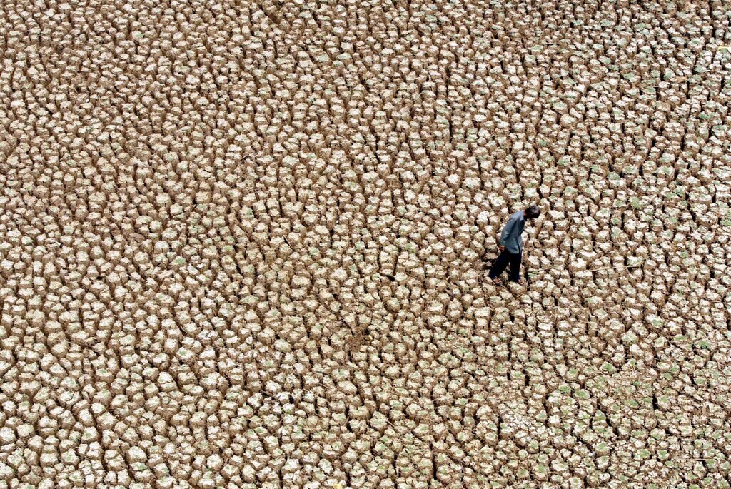 A fisherman walks on the dry bed of the dry Usmansagar lake, on theoutskirts of Hyderabad, capital of the south Indian Andhra Pradesh state,May 31, 2003. Lives of several fishermen have been affected by the severeheat wave in south India which has claimed 513 lives in the last two weeks.Pictures of the Year 2003 REUTERS/Sherwin Crasto PP03060014 PP03060005 PP05080084 SC/CP - RP3DRIQNZVAB
