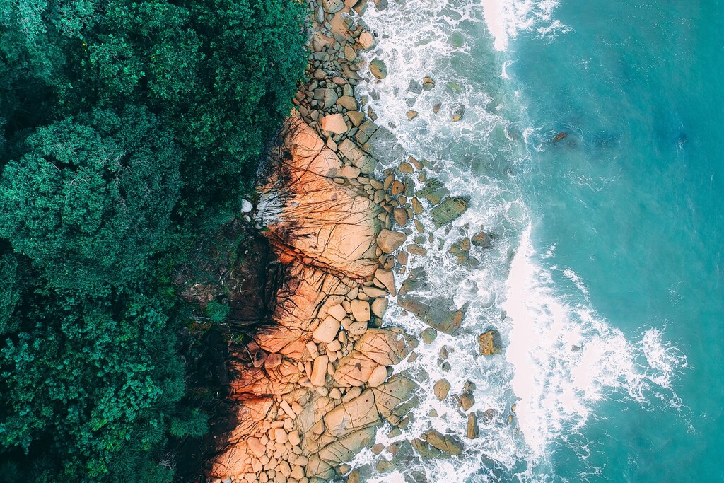 COP28 is an important opportunity to take action on climate change and protect the ocean.