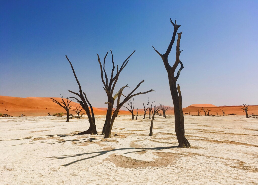 The nature crisis is one of the many challenges being addressed by the Global Future Councils.