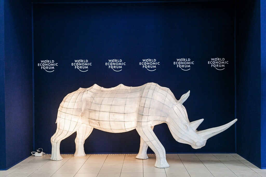 at the World Economic Forum on Africa 2015 in Cape Town. Copyright by World Economic Forum / Jakob Polacsek