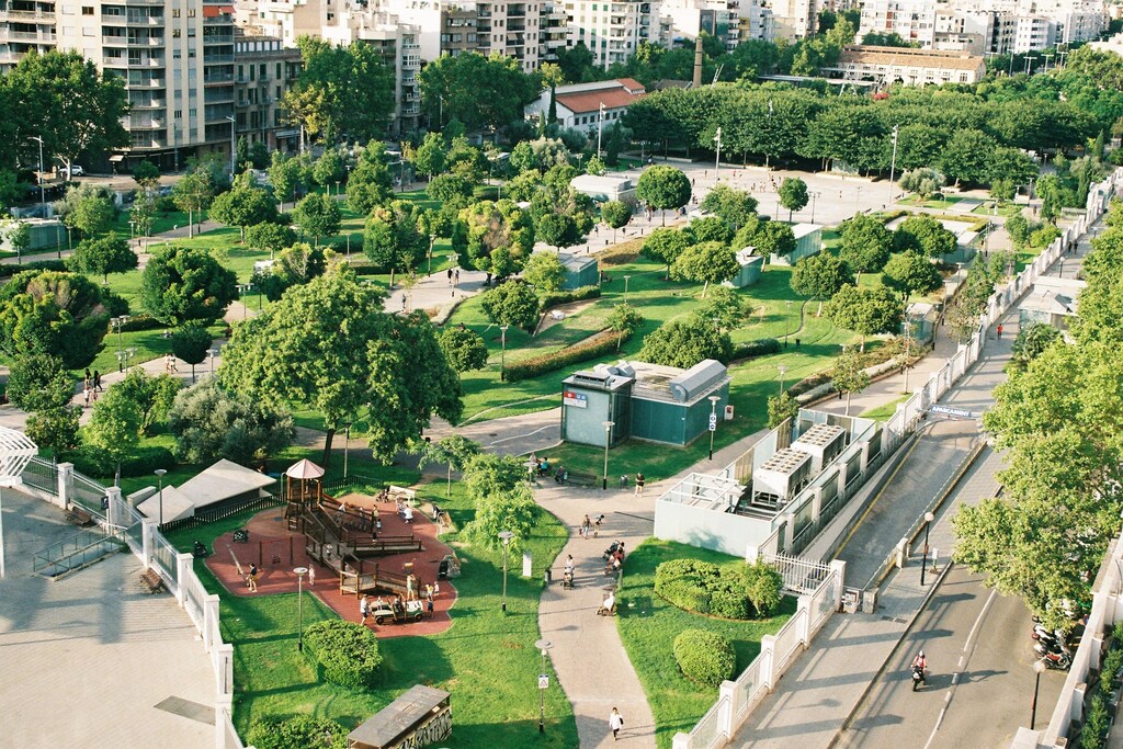 Increasing urban tree cover to 30% would protect the lives of people living in cities.